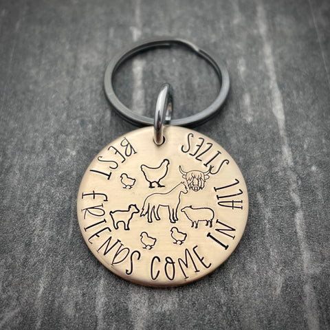 BEST FRIENDS COME IN ALL SIZES KEYCHAIN
